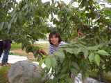 I6160024.jpg 600x450 24bit 2001/07/13 18:10:36 58300 bytes