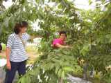 I6160025.jpg 600x450 24bit 2001/07/13 18:10:30 59677 bytes