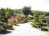 I7170001.jpg 600x450 24bit 2001/07/20 04:09:28 44309 bytes