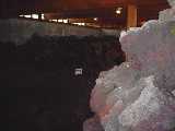 I7170041.jpg 600x450 24bit 2001/07/20 04:06:30 21635 bytes