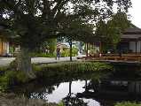I7260013.jpg 533x400 24bit 2001/08/02 03:36:04 35726 bytes