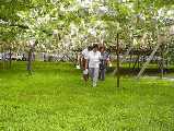 I7260026.jpg 533x400 24bit 2001/08/02 03:36:52 46501 bytes