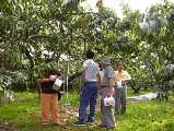 I7260027.jpg 533x400 24bit 2001/08/02 03:36:56 49320 bytes