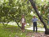 I7260028.jpg 533x400 24bit 2001/08/02 03:37:00 49161 bytes