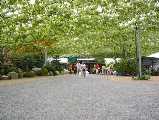 I7260034.jpg 533x400 24bit 2001/08/02 03:37:24 43264 bytes