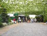 I7260035.jpg 533x400 24bit 2001/08/02 03:37:28 41262 bytes