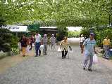 I7260036.jpg 533x400 24bit 2001/08/02 03:37:32 41684 bytes