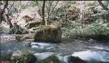 albm021.jpg 600x346 24bit 2001/10/24 04:47:02 38166 bytes