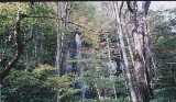 albm022.jpg 600x349 24bit 2001/10/24 04:46:54 40058 bytes