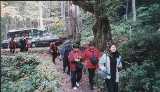 albm023.jpg 600x345 24bit 2001/10/24 04:46:50 36793 bytes
