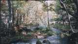 albm025.jpg 600x343 24bit 2001/10/24 04:46:40 35251 bytes