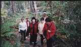 albm026.jpg 600x347 24bit 2001/10/24 04:46:36 35618 bytes