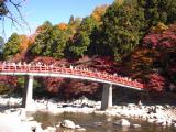 IB220007.jpg 600x450 24bit 2001/11/25 15:25:00 62766 bytes