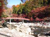 IB220008.jpg 600x450 24bit 2001/11/25 15:25:00 67365 bytes
