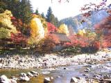 IB220009.jpg 600x450 24bit 2001/11/25 15:24:58 65652 bytes