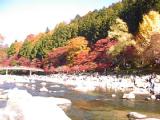 IB220010.jpg 600x450 24bit 2001/11/25 15:24:56 55003 bytes
