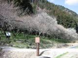 IMG_0080.jpg 640x480 24bit 2002/07/12 23:46:46 66547 bytes