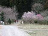 IMG_0084.jpg 640x480 24bit 2002/07/12 23:46:56 48303 bytes