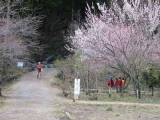 IMG_0085.jpg 640x480 24bit 2002/07/12 23:47:00 61461 bytes