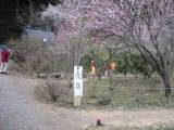 IMG_0086.jpg 640x480 24bit 2002/07/12 23:47:02 60716 bytes