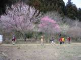 IMG_0090.jpg 640x480 24bit 2002/07/12 23:47:10 58237 bytes