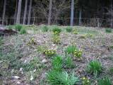 IMG_0092.jpg 640x480 24bit 2002/07/12 23:47:14 72301 bytes
