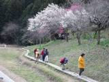 IMG_0101.jpg 640x480 24bit 2002/07/12 23:47:38 56443 bytes