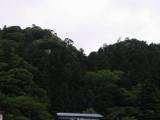 IMG_0167.jpg 640x480 24bit 2002/07/01 23:13:16 36536 bytes