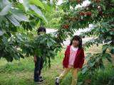IMG_0176.jpg 640x480 24bit 2002/07/01 23:13:40 94119 bytes