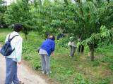 IMG_0179.jpg 640x480 24bit 2002/07/01 23:13:48 97079 bytes