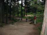IMG_0262.jpg 640x480 24bit 2002/07/13 01:10:22 39381 bytes