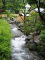 IMG_0294.jpg 360x480 24bit 2002/07/13 01:11:16 31333 bytes