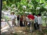 IMG_0358.jpg 640x480 24bit 2002/07/27 14:17:08 79968 bytes
