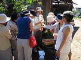 IMG_0369.jpg 640x480 24bit 2002/07/27 14:17:38 52615 bytes