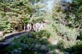 020901_001.jpg 600x399 24bit 2002/10/09 05:08:38 49409 bytes