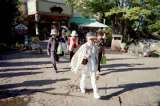 020901_013.jpg 600x399 24bit 2002/10/09 05:09:04 38716 bytes