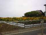 Pict0216.jpg 600x450 24bit 2001/09/02 02:27:12 35279 bytes