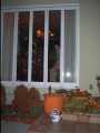 IC200021.jpg 450x600 24bit 2001/12/25 09:21:20 46493 bytes
