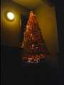 IC200024.jpg 450x600 24bit 2001/12/25 09:22:04 26953 bytes