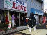 topics_030101_032.jpg 600x450 24bit 2003/01/27 01:32:34 48217 bytes