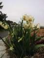 topics_030101_001.jpg 363x484 24bit 2003/02/12 03:57:54 25932 bytes