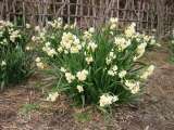 topics_030101_007.jpg 640x480 24bit 2003/02/12 03:56:36 82530 bytes