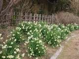 topics_030101_008.jpg 640x480 24bit 2003/02/12 03:55:14 85671 bytes