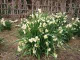 topics_030101_009.jpg 640x480 24bit 2003/02/12 03:55:20 85305 bytes