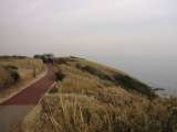topics_030101_013.jpg 640x480 24bit 2003/02/12 03:55:42 33196 bytes