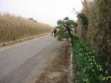 topics_030101_014.jpg 640x480 24bit 2003/02/12 03:55:46 51865 bytes