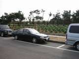 topics_030101_018.jpg 640x480 24bit 2003/02/12 03:56:48 43883 bytes