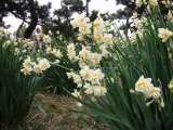 topics_030101_019.jpg 640x480 24bit 2003/02/12 03:56:54 62821 bytes
