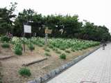 topics_030101_020.jpg 640x480 24bit 2003/02/12 03:57:00 60157 bytes