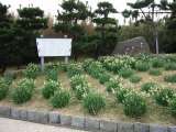 topics_030101_024.jpg 640x480 24bit 2003/02/12 03:57:22 70084 bytes